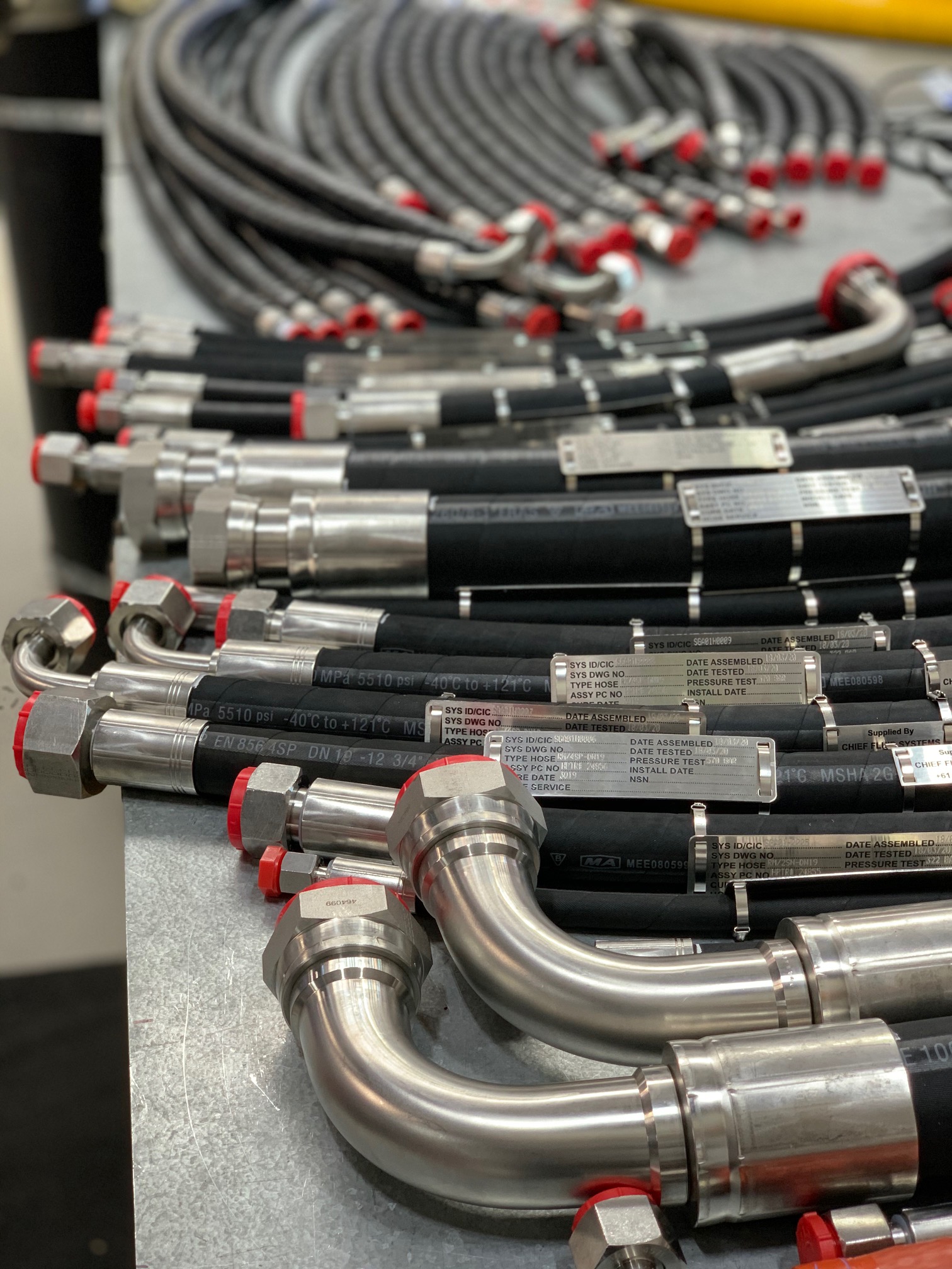 Cataloguing Of Hoses